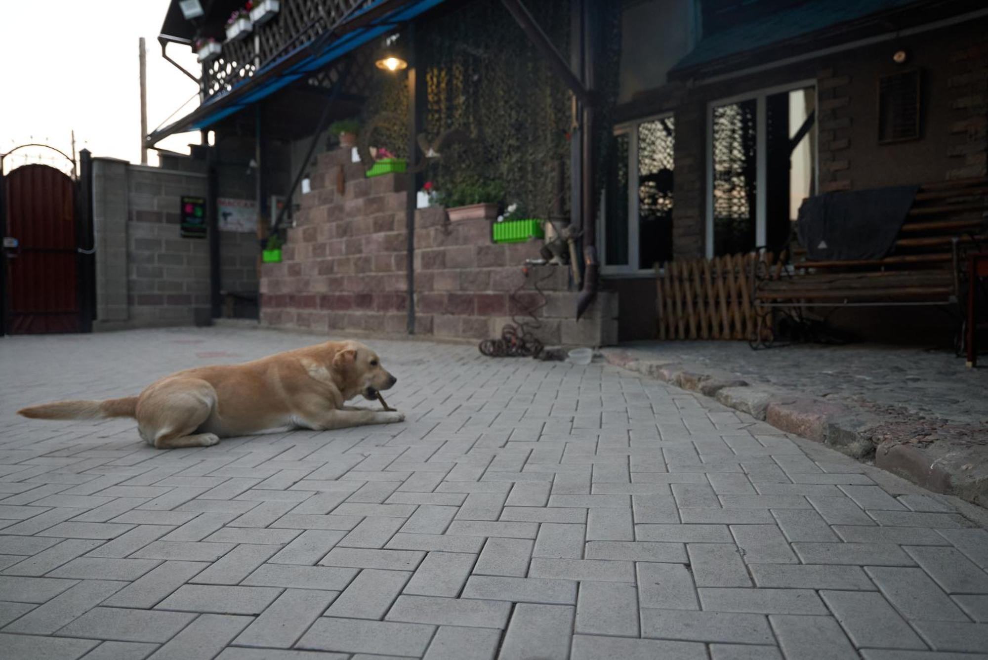 Argo Guest House Karakol Exterior foto
